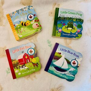 4 Pack Chunky Lift a Flap Board Books